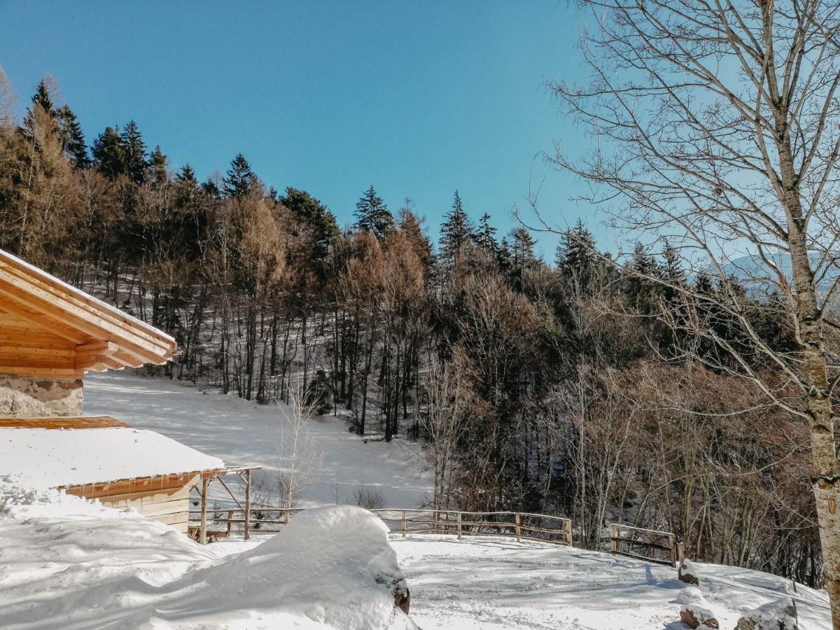 Villa Odomi Maso Nel Bosco à Sant'Orsola Extérieur photo