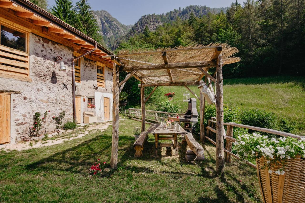 Villa Odomi Maso Nel Bosco à Sant'Orsola Extérieur photo